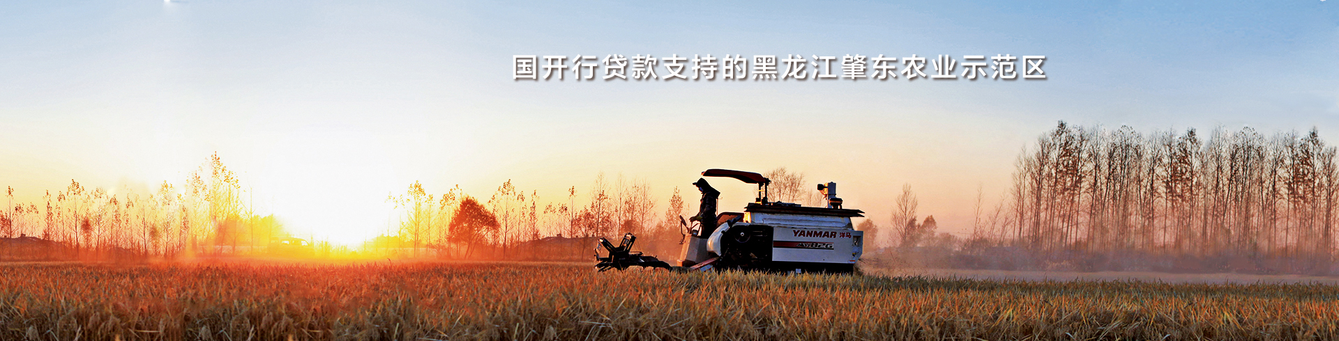 国开行贷款支持的黑龙江肇东农业示范区