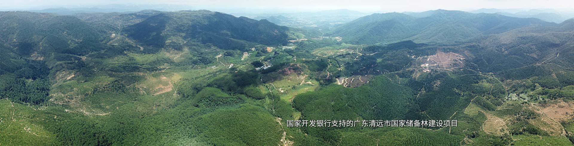 广东清远市国家储备林建设项目