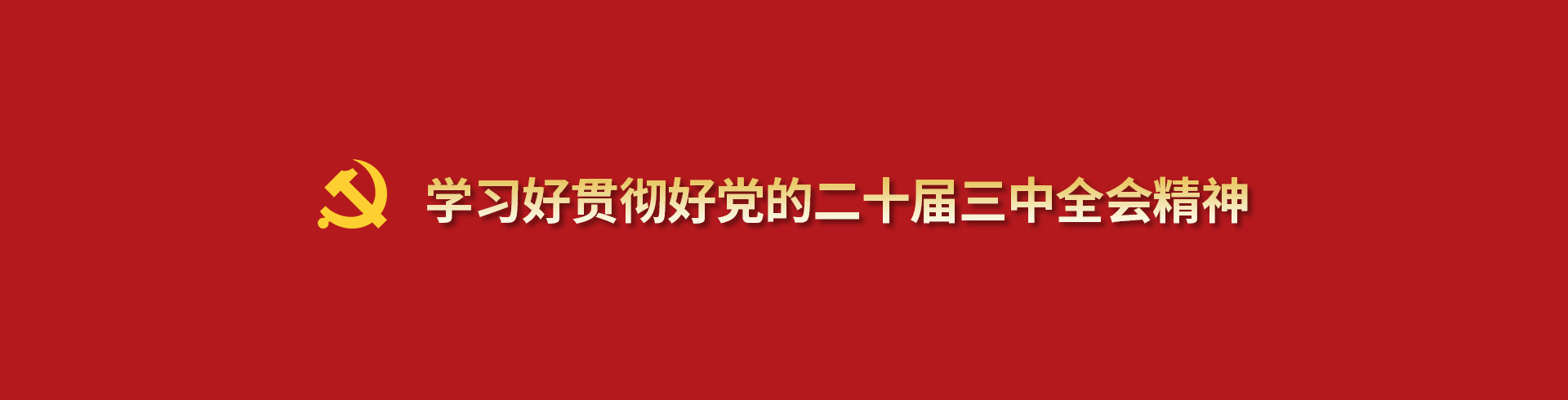 学习好贯彻好党的二十届三中全会精神