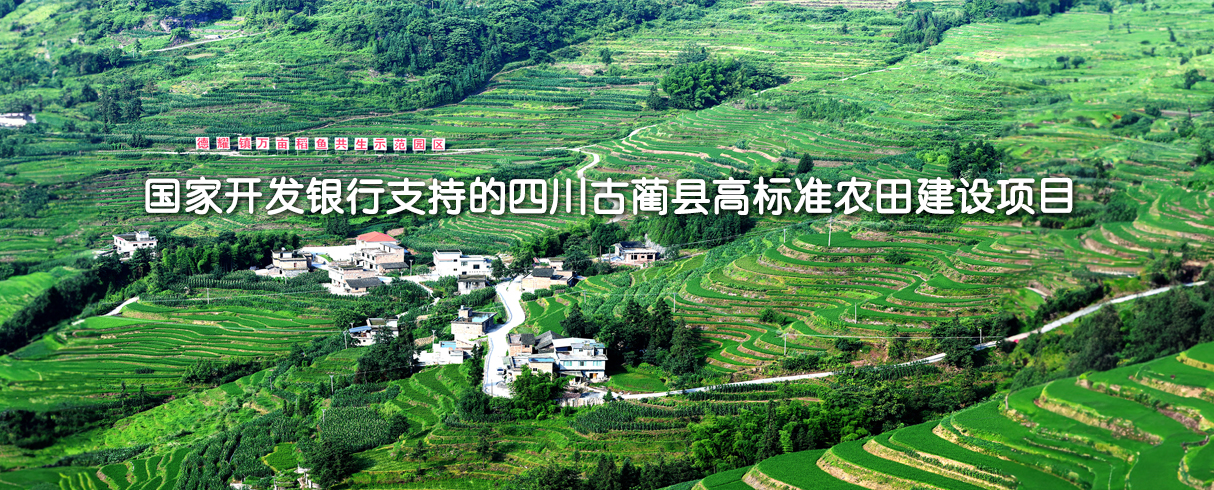 国家开发银行支持的四川古蔺县高标准农田建设项目-pad