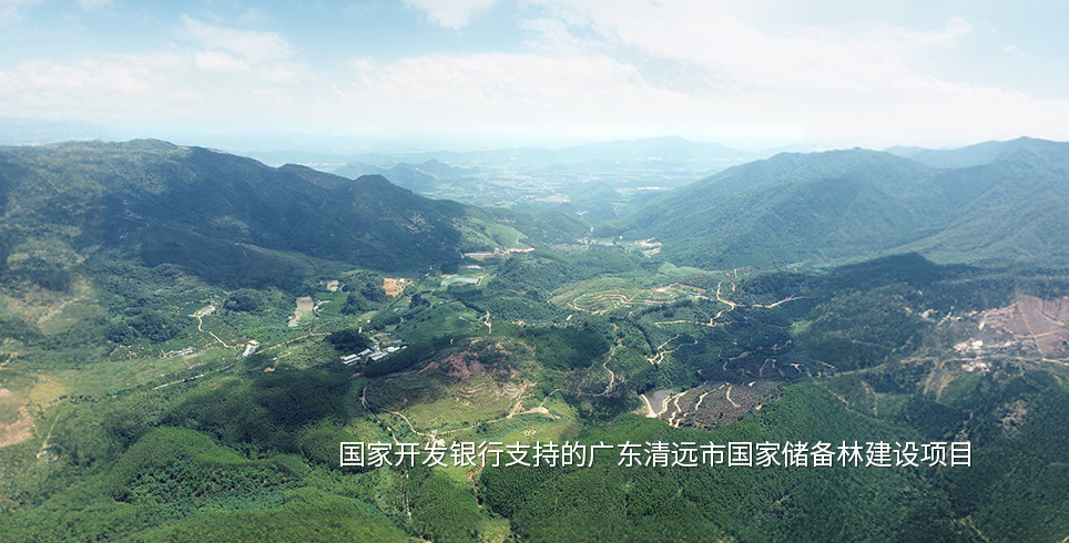 广东清远市国家储备林建设项目wap