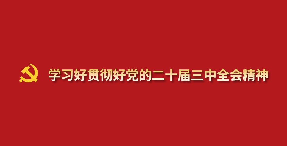 学习好贯彻好党的二十届三中全会精神